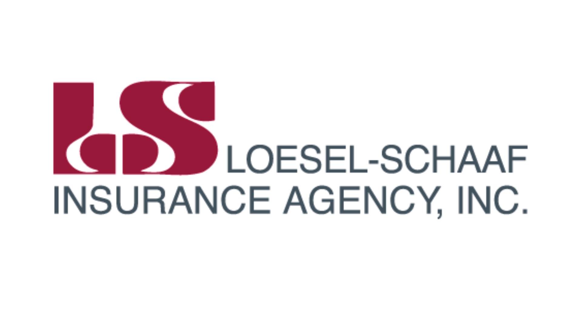 Loesel Schaff Insurance WEB