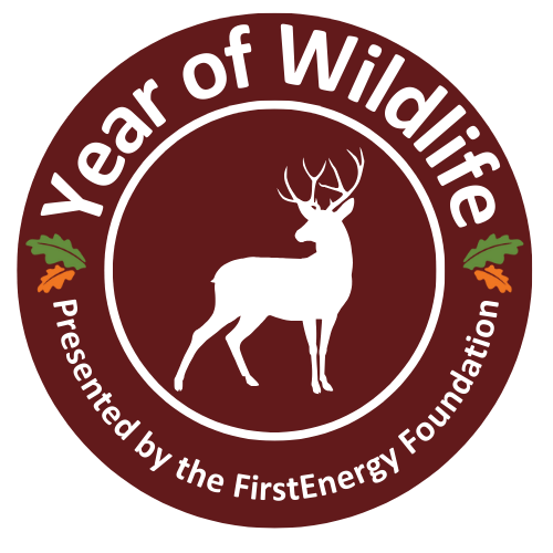 Year of Wildlife Presented by the FirstEnergy Foundation